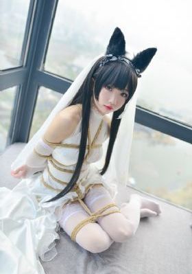 龙月 电影版 电影_国产剧免费高清观看